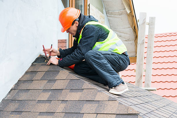 Best Roof Gutter Cleaning  in Salmon, ID